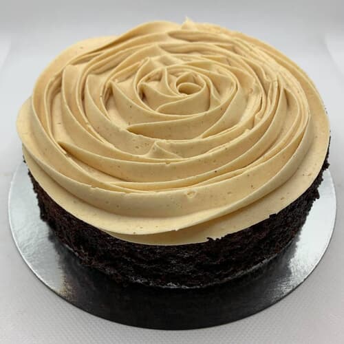 Chocolate Peanut Butter Cake-serves 6-8