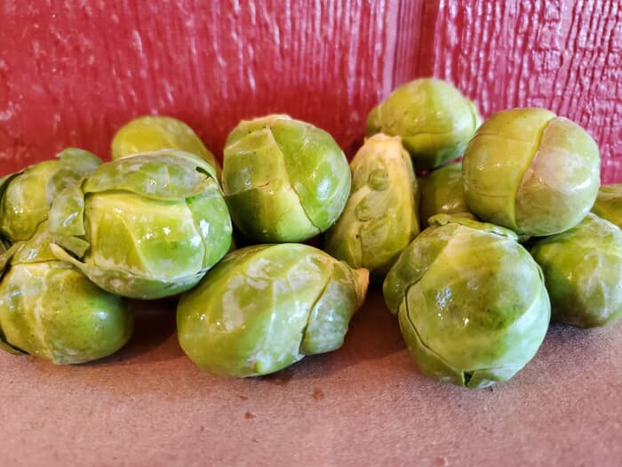 Brussels Sprouts