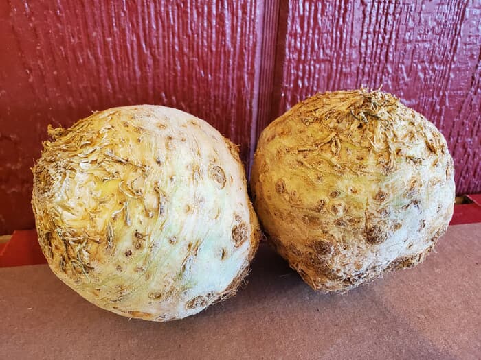 Local Celery Root