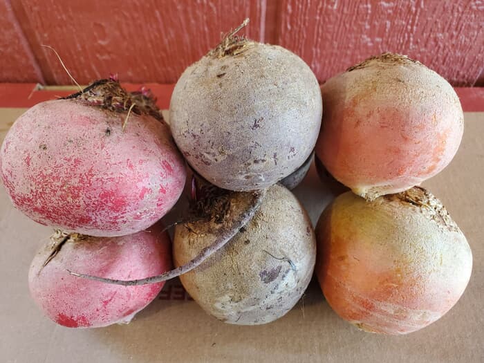 Local Beets
