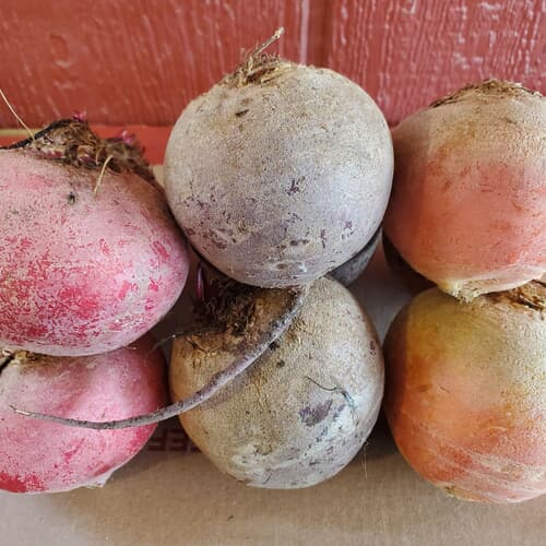 Local Beets