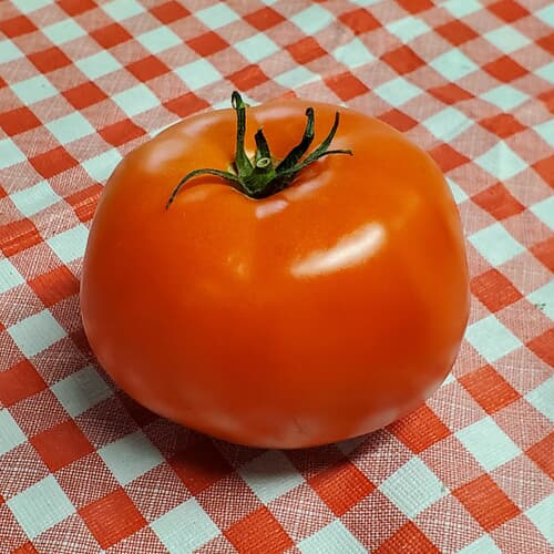 Local Tomatoes Beefsteak