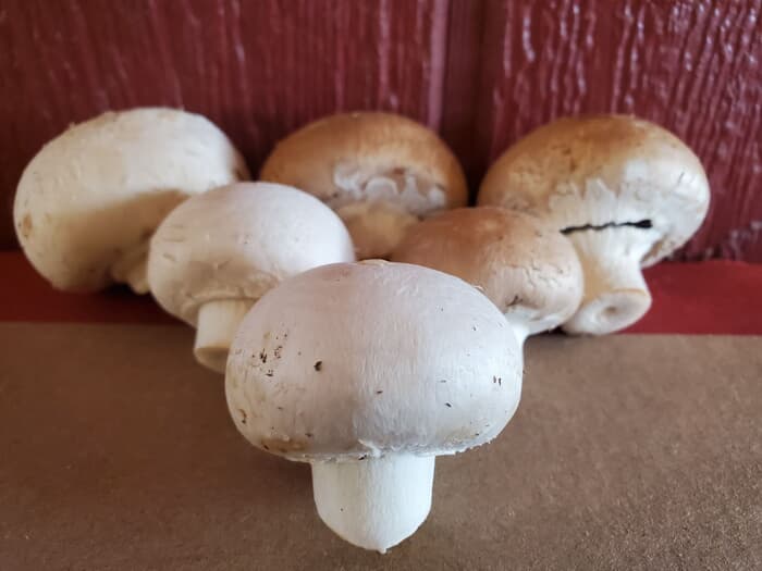 Local Mushrooms