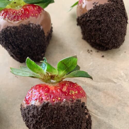 Chocolate Cookie Dipped Strawberries