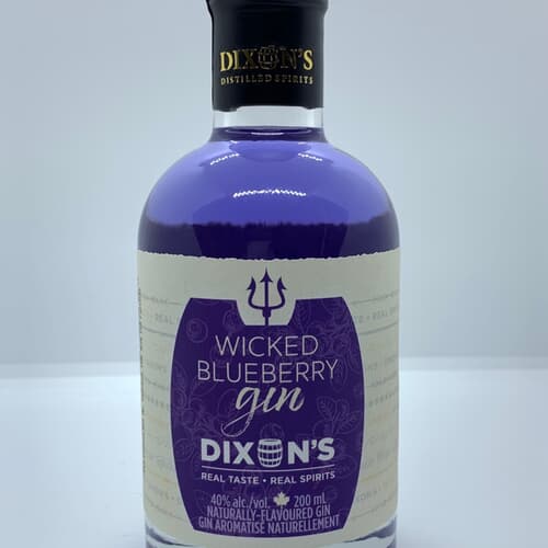 Dixons Wicked Blueberry Gin