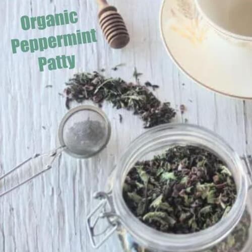 Organic Peppermint Patty