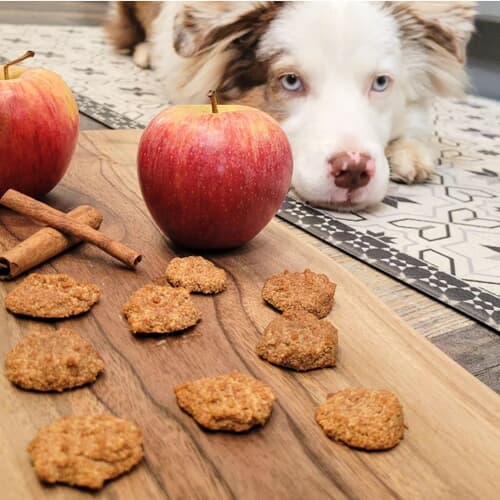 Apple Cinnamon Snax