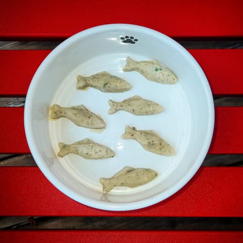 Fin-tastic Snax