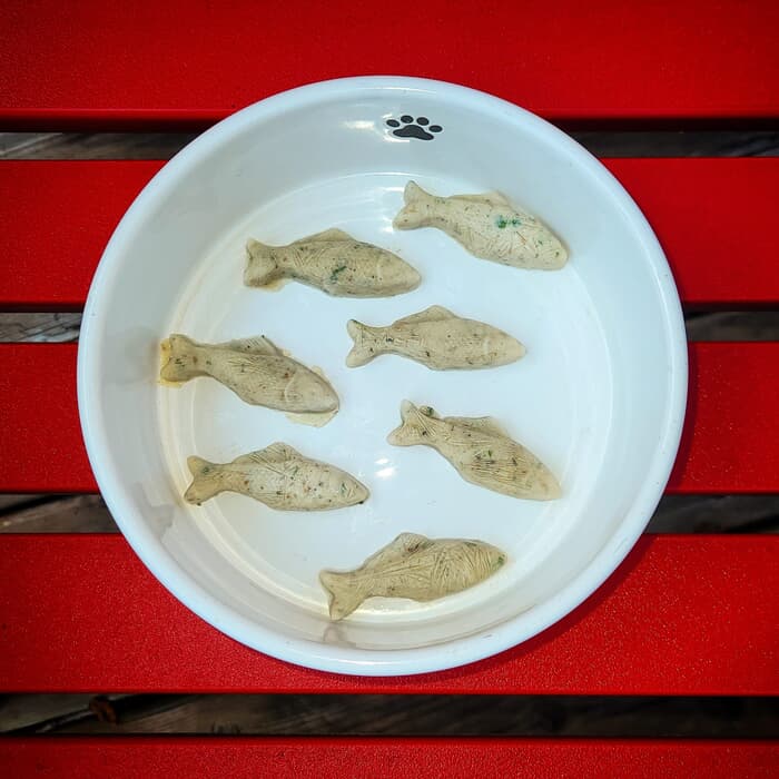 Fin-tastic Snax