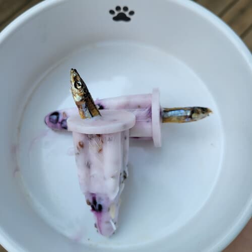 Pup-sicle Snax