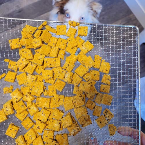Daily Snax