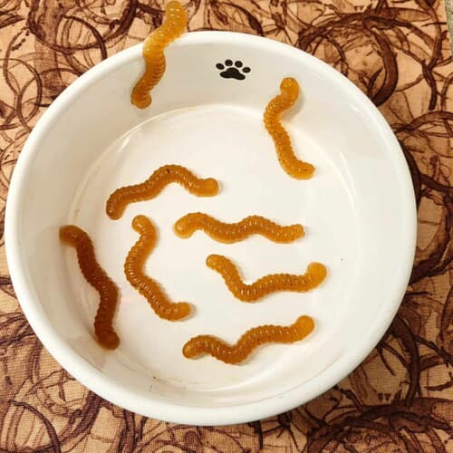 Gut Gummy Worms