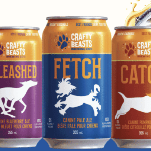 Fetch "Dog Beer"