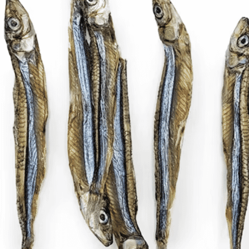Dehydrated Sardines