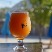 Sangamo Brewing in Chatham, Illinois - 4.60 star rating