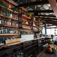 Viking Brewing - Southtowne Pub in Eugene, Oregon - 4.60 star rating