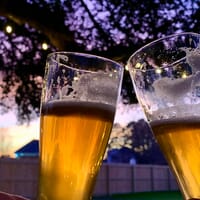 Local Oak Brewing Co. in Winterville, North Carolina - 4.90 star rating