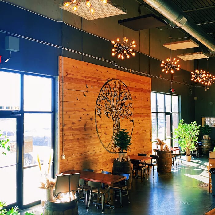 White Elm Brewing Company