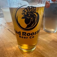 Mad Rooster Beer Company in Fayetteville, Arkansas - 4.80 star rating