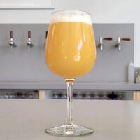 Root + Branch Brewing in Copiague, New York - 4.80 star rating