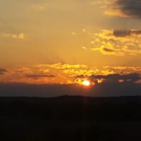 Medina River Winery and (coming soon) Ugly Pug Brewery in Castroville, Texas - 4.70 star rating