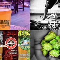 Mudshark Brewery and Public House in Lake Havasu City, Arizona - 4.70 star rating