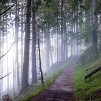 Forbes Trail Brewing in Stoystown, Pennsylvania - 5.00 star rating