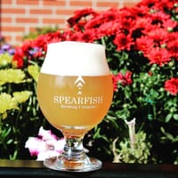 Spearfish Brewing Company in Spearfish, South Dakota - 4.60 star rating