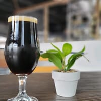 Groove Brewing in Scranton, Pennsylvania - 4.80 star rating