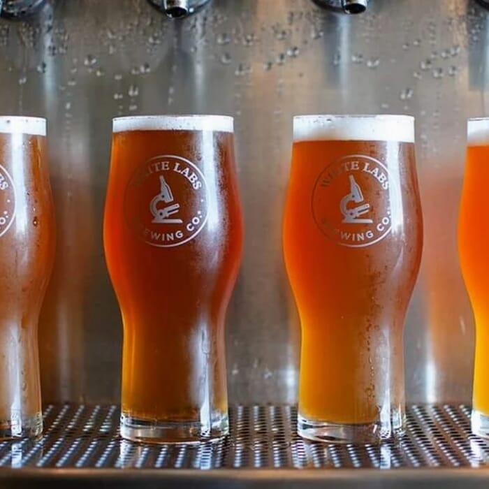 White Labs Brewing Co - Asheville Kitchen & Tap