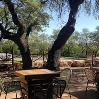 Suds Monkey Kitchen & Brewery Dripping Springs in Austin, Texas - 4.60 star rating
