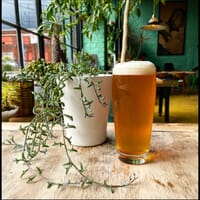 Golden Cactus Brewing in Roanoke, Virginia - 4.60 star rating
