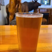 Elk Head Brewing Co Inc in Buckley, Washington - 4.80 star rating