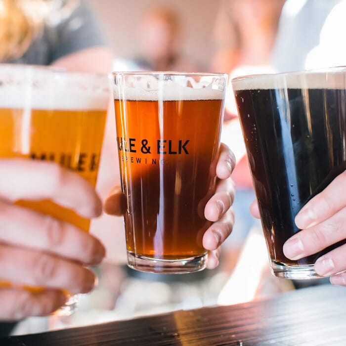 Mule & Elk Brewing