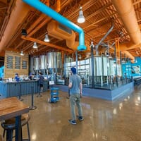 Mighty Squirrel Brewing Co. in Waltham, Massachusetts - 4.60 star rating