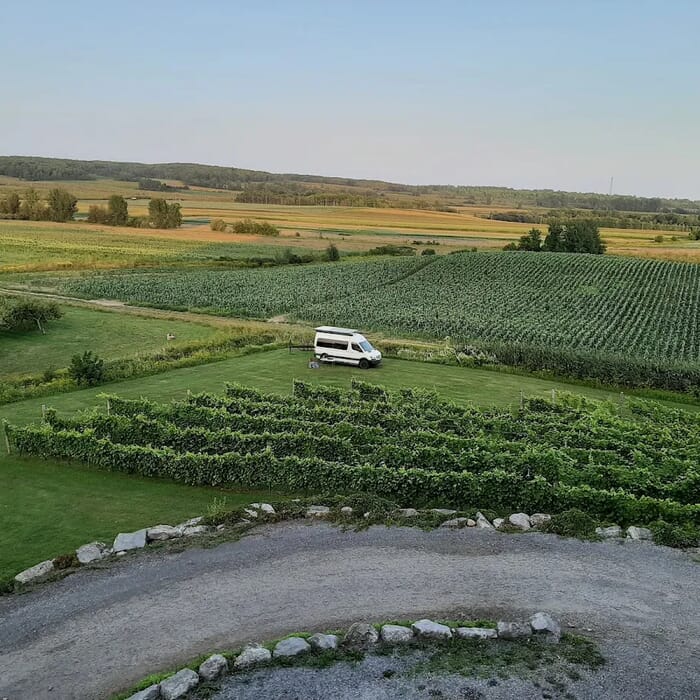 Jardin D'Emmanuel - Verger / Mariage / Vignoble / Cidrerie