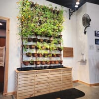 Argenta Brewing Company in Portland, Maine - 5.00 star rating
