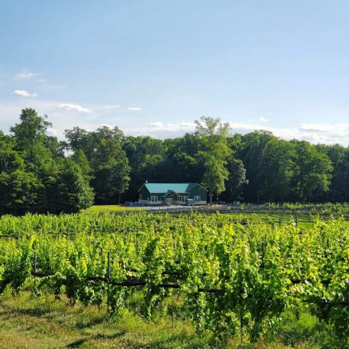 Ridgeview Farm & Vineyards/ Ridgeview Farm Brewing Co.