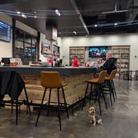 Salt Mine City Brewing in Lincoln, Nebraska - 4.90 star rating