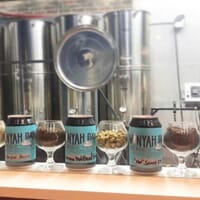 Winyah Bay Brewing Company in Georgetown, South Carolina - 3.80 star rating