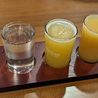 Apoptosis Brewing Company in Kalamazoo, Michigan - 4.70 star rating