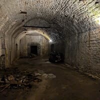 Brewing Heritage Trail in Cincinnati, Ohio - 4.90 star rating