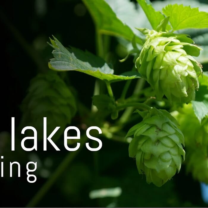 Eleven Lakes Brewing Company