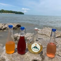 Funky Turtle Brewing Company Production Facility in Toledo, Ohio - 4.60 star rating