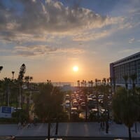 3 Daughters Brewing Clearwater Beach in Clearwater, Florida - 4.60 star rating