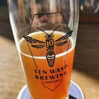Ten Wasp Brewing Company in Sumner, Iowa - 4.90 star rating