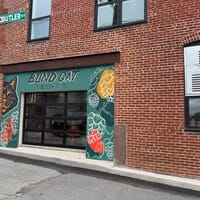 Blind Cat Beer Company in Pittston, Pennsylvania - 5.00 star rating
