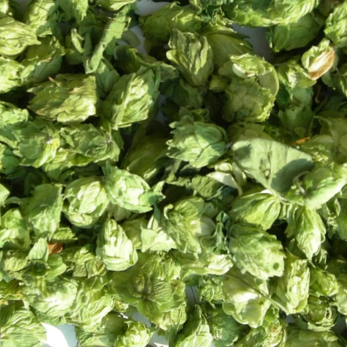 Terrapin Beer Co.