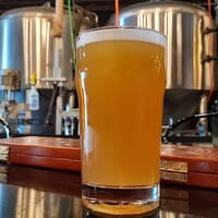 Shaidzon Beer Co. in South Kingstown, Rhode Island - 4.70 star rating