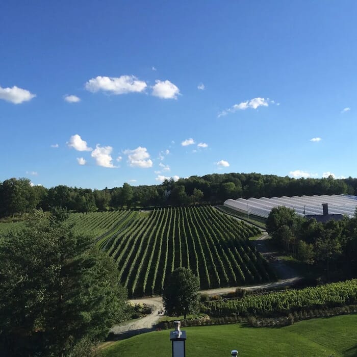 Le Vignoble du Ruisseau - Winery & Cidery